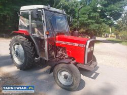 Massey ferguson 355 turbo ( ursus 3512 mf 255 ) - Obrazek 1