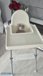 Fotelik do karmienia ikea z tacką i podnóżkiem - Obrazek 1