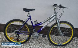 Rower górski - Obrazek 1