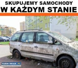 Skup Aut w Każdym Stanie Do 4000zł Zapraszam - Obrazek 2