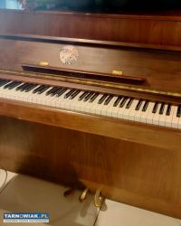 Pianino - Obrazek 1