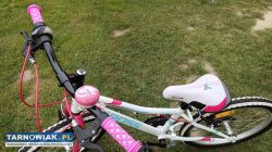 Rower 20 Kross Rica rama 11 cali - Obrazek 2