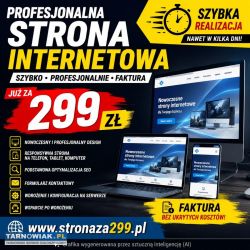 Strona za 299 zł kompletna, szybka realizacja - Obrazek 3