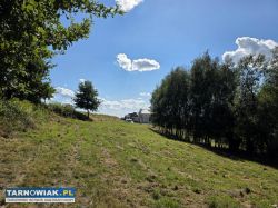 Dzialka 25 arów Zawada - Obrazek 2