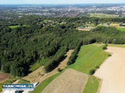 Dzialka 25 arów Zawada - Obrazek 4