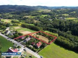 Tuchów działka budowlana 46 ar - Obrazek 1