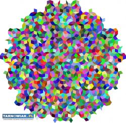 Matematyka, fizyka, chemia - Obrazek 3