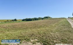 Działka budowlana Pawęzów 9,33 ar - Obrazek 2