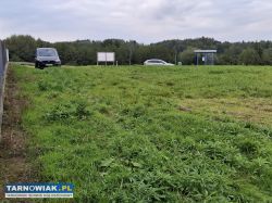 Zabłędza 15,7 ara – zjazd dw977, media - Obrazek 3