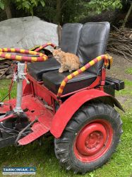 ciągnik traktor SAM - Obrazek 2