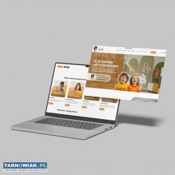 Strony internetowe Nillo - projektowanie - Obrazek 1