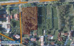 Tarnów-Strusina działka inwestycyjna - Obrazek 3
