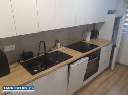 Do wynajęcia mieszkanie w żabnie - Obrazek 2