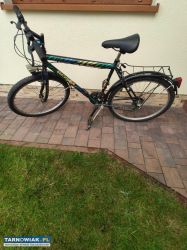 Rower - Obrazek 1