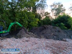 Usługi minikoparką usługi wywrotka 3.5t - Obrazek 4