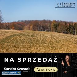 Działka budowlana w Łękawicy - 24 ary - Obrazek 4