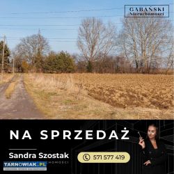 Dwie działki budowlane - Radłów - Obrazek 3