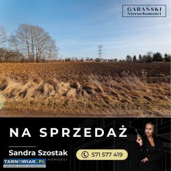 Dwie działki budowlane - Radłów - Obrazek 4
