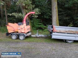 Wycinka drzew, Czyszczenie działek,Usługi rębakiem - Obrazek 1