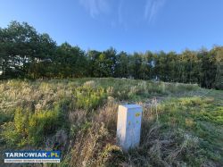 Pawęzów- widokowa działka pod zabudowę , 15.98 ar. - Obrazek 2