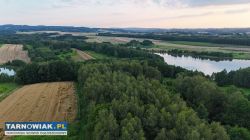 Działka nad Zalewem w Skrzyszowie 55 ara - Obrazek 1