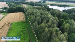 Działka nad Zalewem w Skrzyszowie 55 ara - Obrazek 2