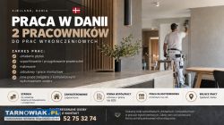 Praca w danii 2 pracowników - Obrazek 1