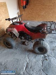 Quad 110 - Obrazek 1