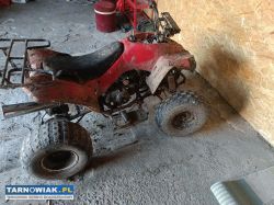 Quad 110 - Obrazek 2