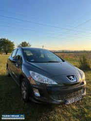 Peugeot 308 benzyna 1,6, 2008 rok - Obrazek 3