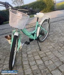Rower dla dziecka, rozmiar kół 24 - Obrazek 2