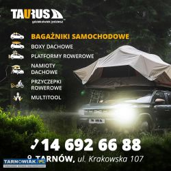 Sprzedam Box Taurus Easy430 - Obrazek 4