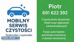 Pranie tapicerki samochodowej - Obrazek 1