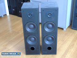 Kolumny Schneider Team 2x 150 wat świetne stereo. - Obrazek 2