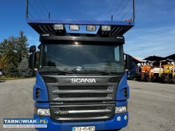Scania p380 -2006r. + przyczepa rimo pl1- 2006r. - Obrazek 2