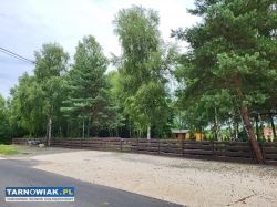 Dzialka która pracuje na siebie do sprzedania - Obrazek 1