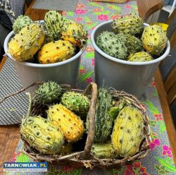 kiwano owoce - Obrazek 1