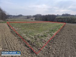 Szynwałd - widokowa , działka budowlana , 12 ar - Obrazek 1