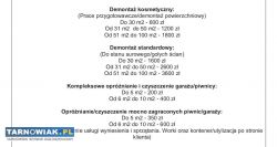 Demontaż/opróżnianie garażu/piwnicy - Obrazek 1