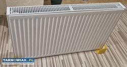 Grzejnik Purmo CV22 600x1000x102mm przyłącze D50mm - Obrazek 1