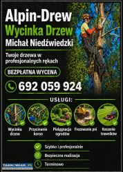 Poszukuję osoby do współpracy przy wycince drzew - Obrazek 1