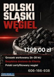 1000 kg polskiego groszku - tylko 1799 zł za palet - Obrazek 1