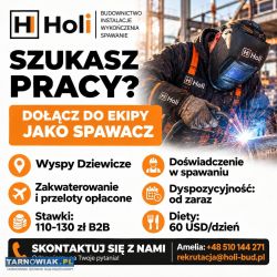Holi sp. Z o.O. Poszukuje spawacza do pracy - Obrazek 1