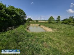 Wyjątkowa okazja!!! Dom z dużą działką. - Obrazek 2