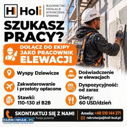 Pilnie szukamy fachowca od elewacji - Obrazek 1