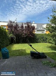 Wynajmę mieszkanie 76 m² | 3 pokoje | Ogród - Obrazek 4