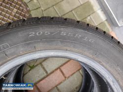 Opony zimowe Dębica 205/55/16 - Obrazek 2