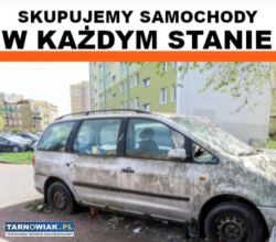 Skup Aut w Każdym Stanie Do 4000zł - Obrazek 1
