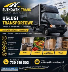 Usługi transportowe - Obrazek 1